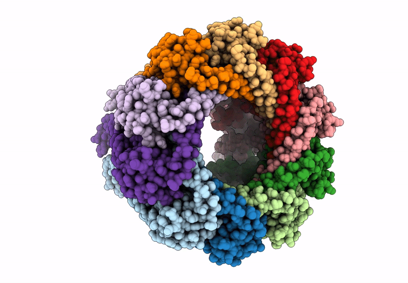 9FS5 image
