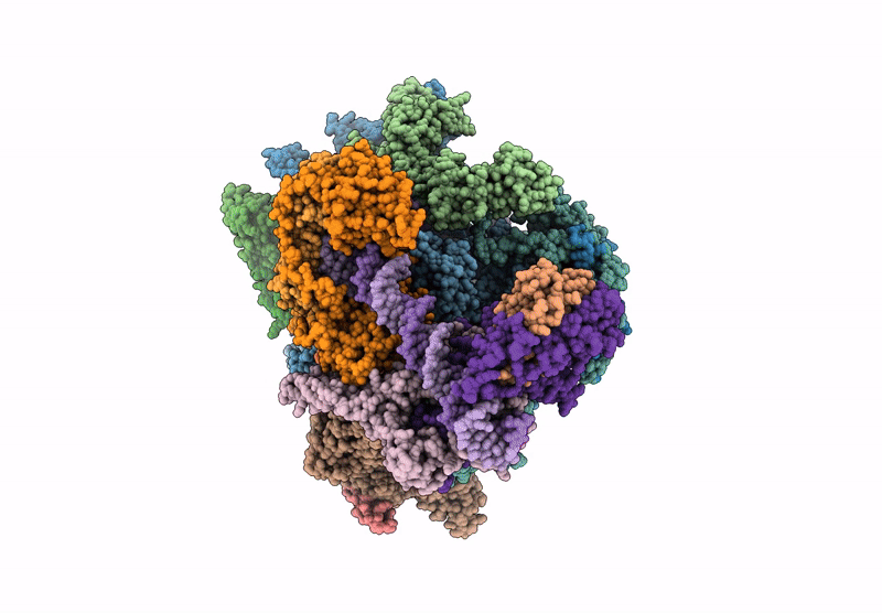 9FSS image