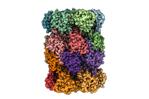9FST image