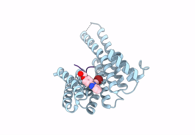 9FVN image