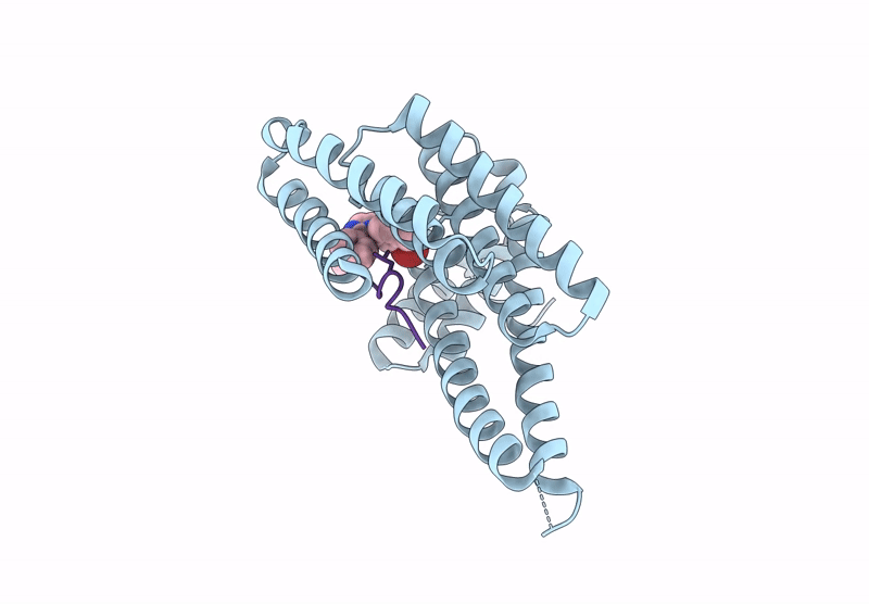 9FVP image