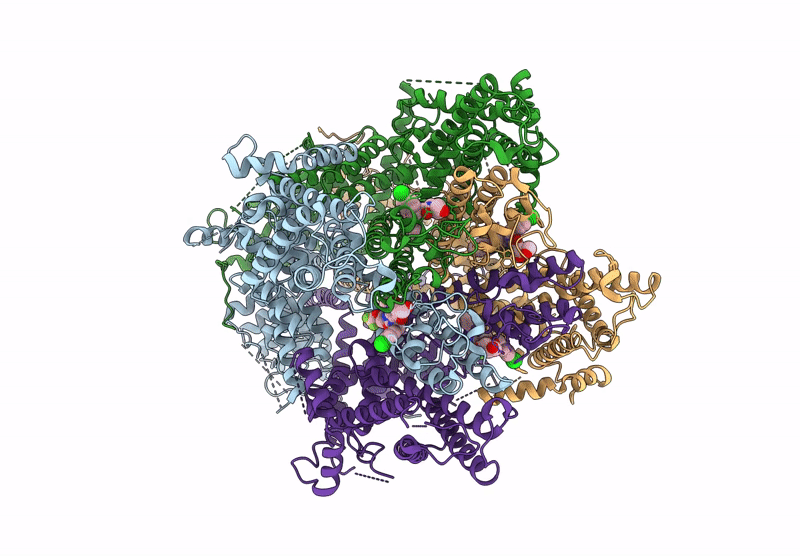 9FXM image