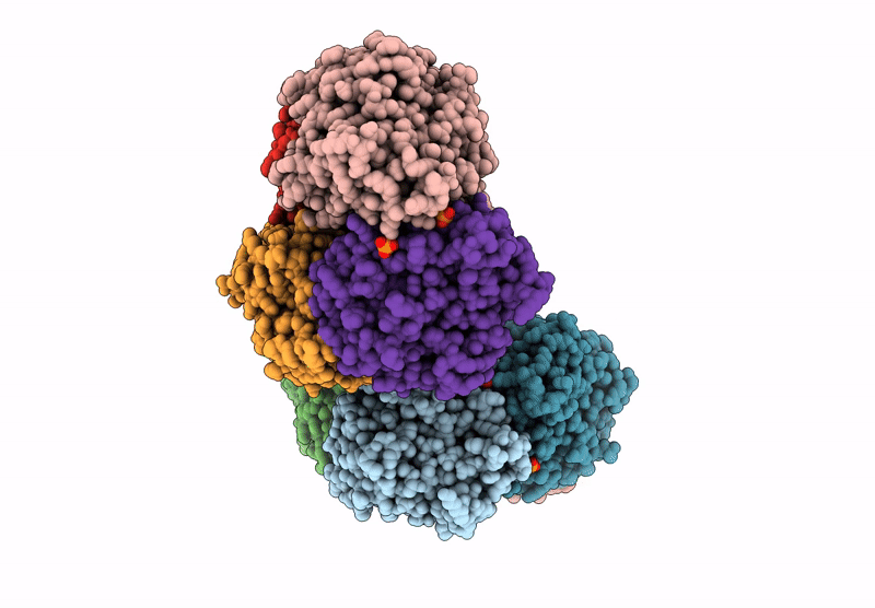 9FXR image