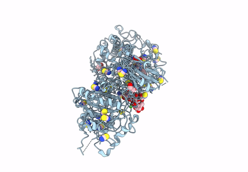 9FXU image
