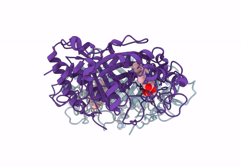 9FYH image
