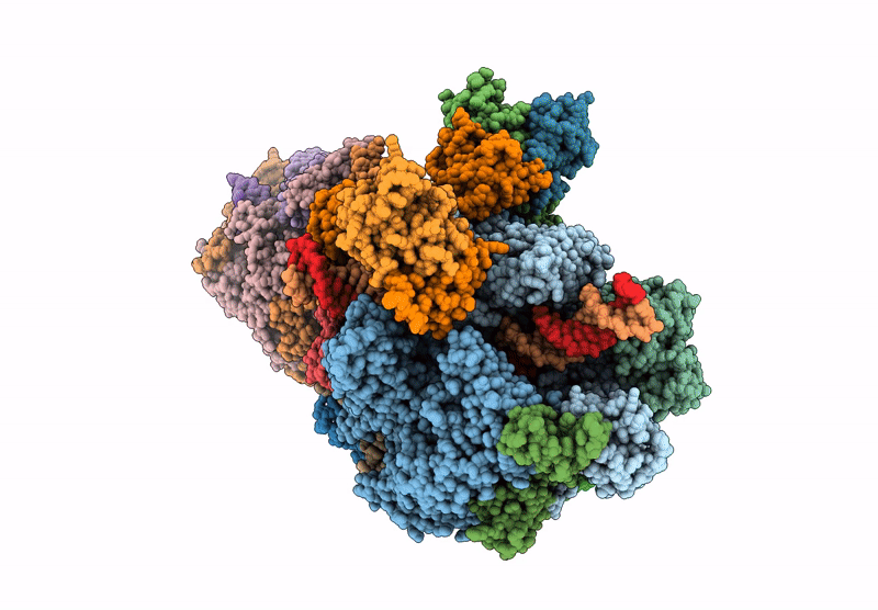 9FYX image