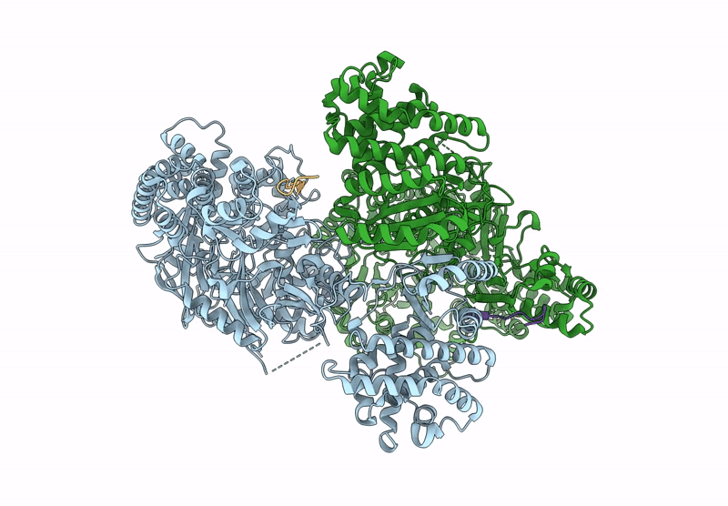 9G05 image