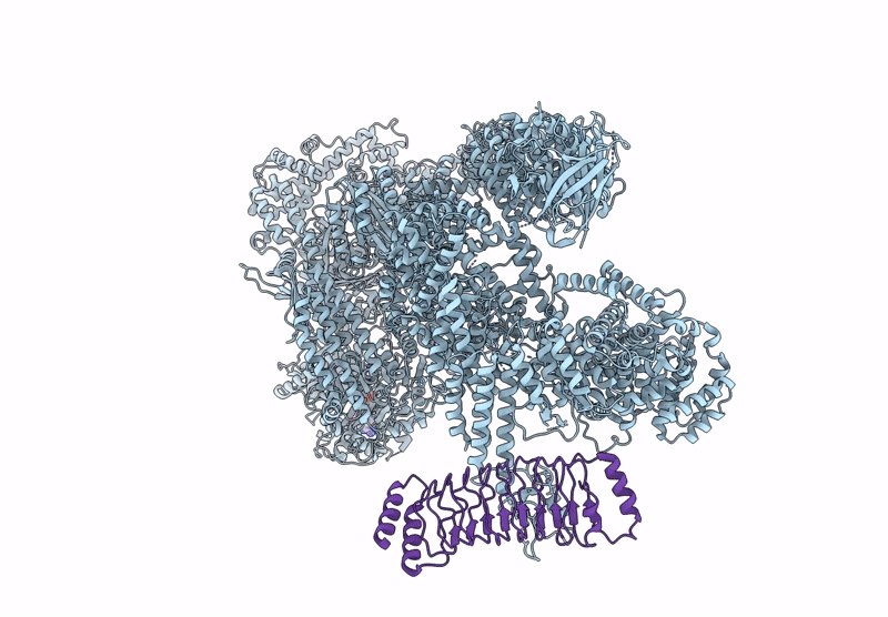 9G09 image