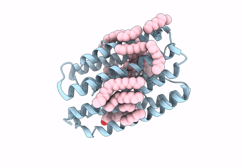 9G15 image