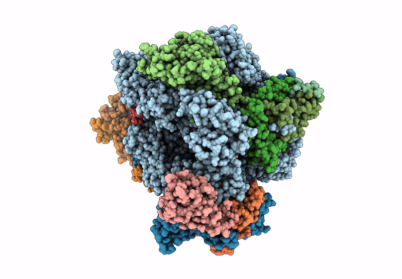 9G1V image