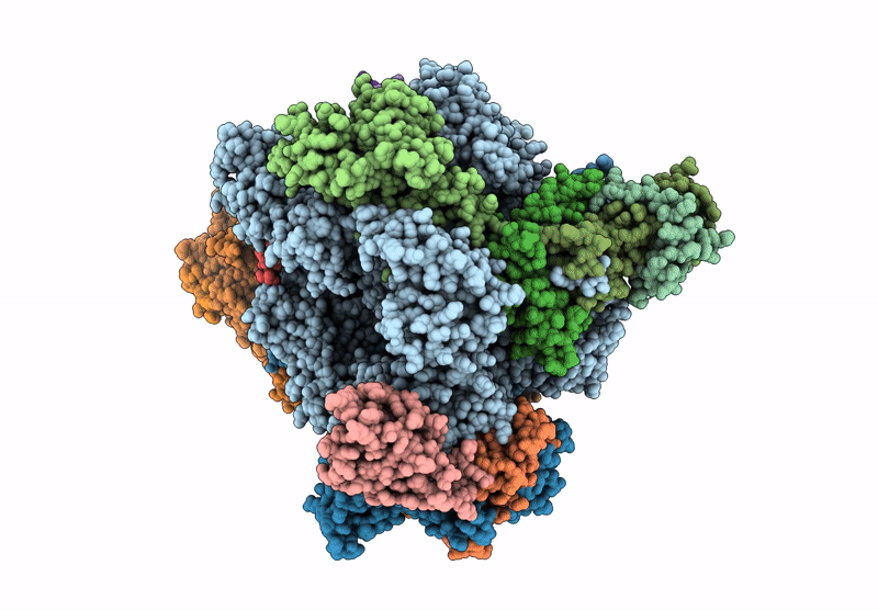 9G26 image