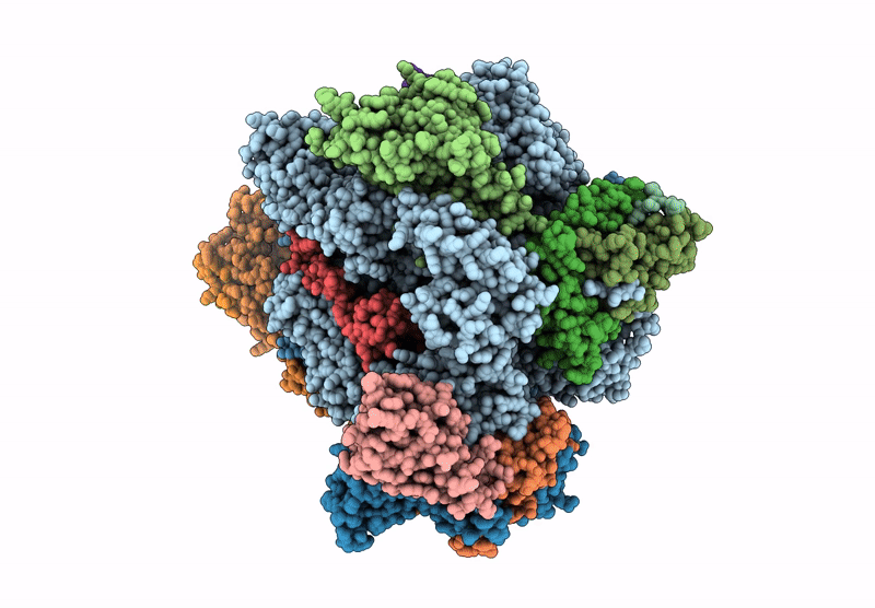 9G29 image