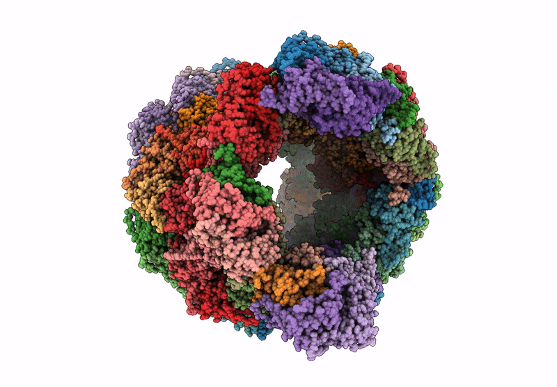9G3I image