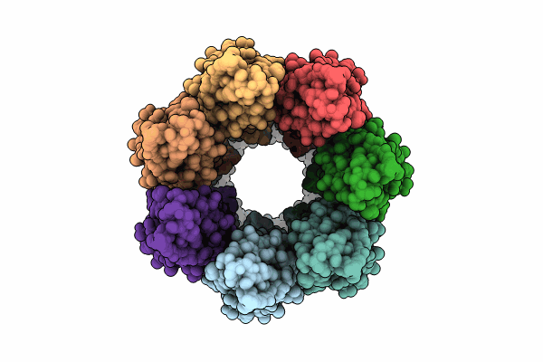 9G8B image