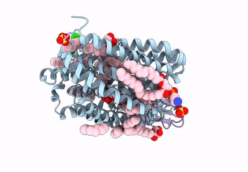9G97 image