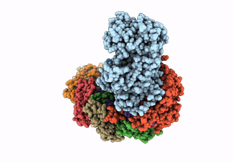 9G9B image