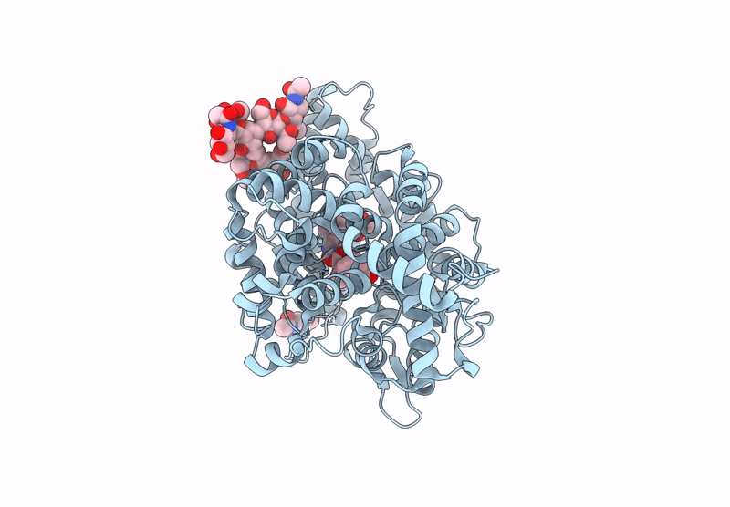 9GBN image