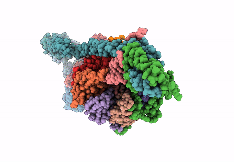 9GBW image