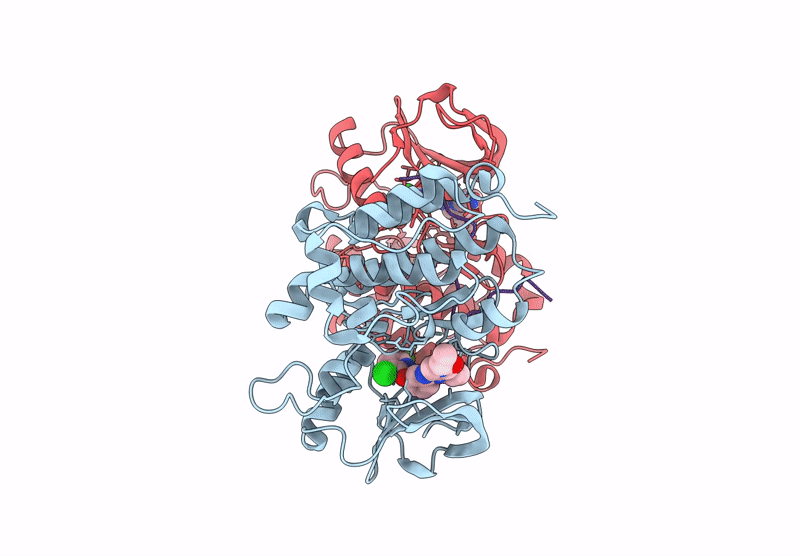 9GC4 image