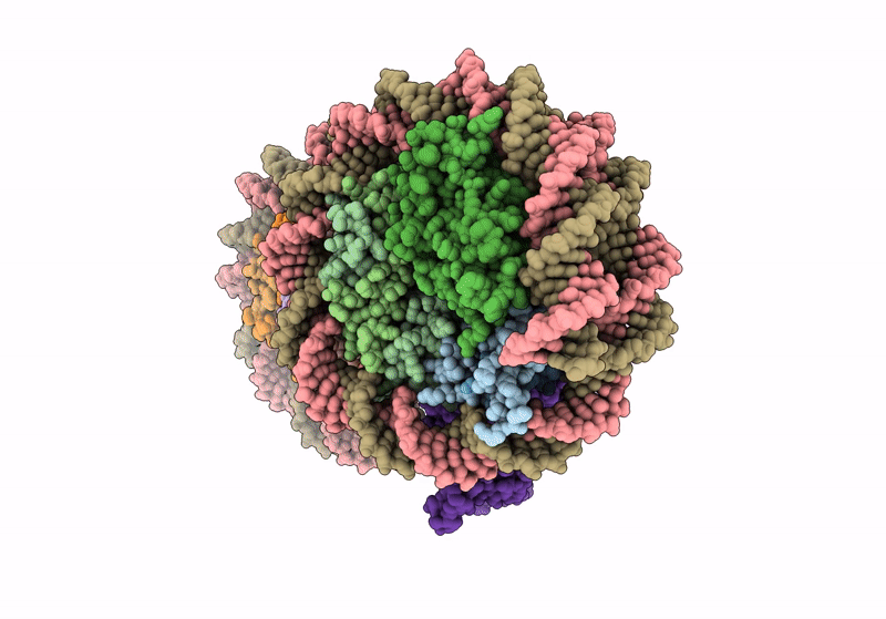 9GD2 image