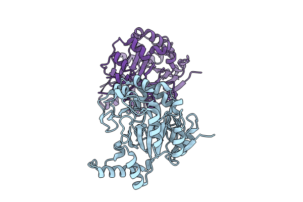 9GDK image