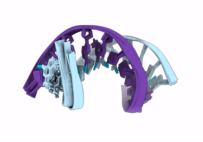 9GDM image
