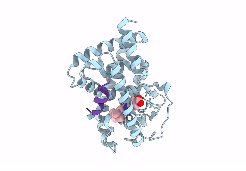 9GFI image
