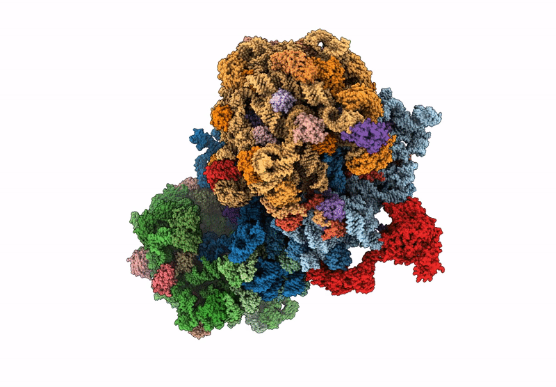 9GFT image