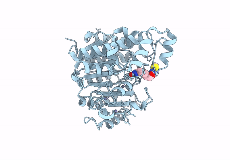 9GGH image