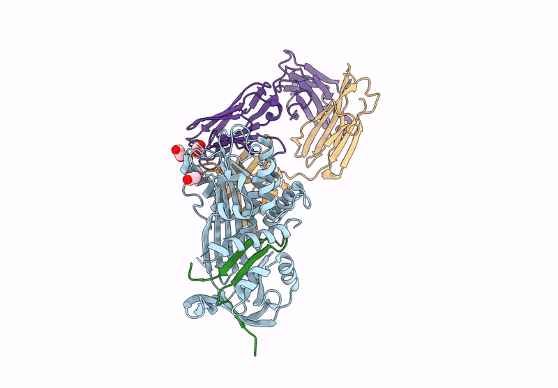 9GGP image