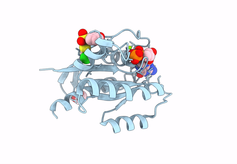 9GGT image