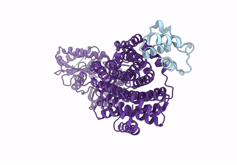 9GI2 image