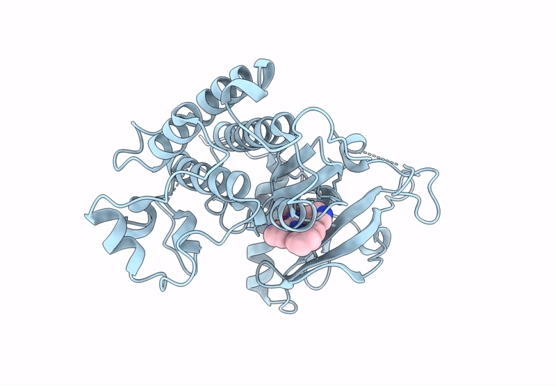9GI9 image