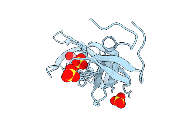 9GII image