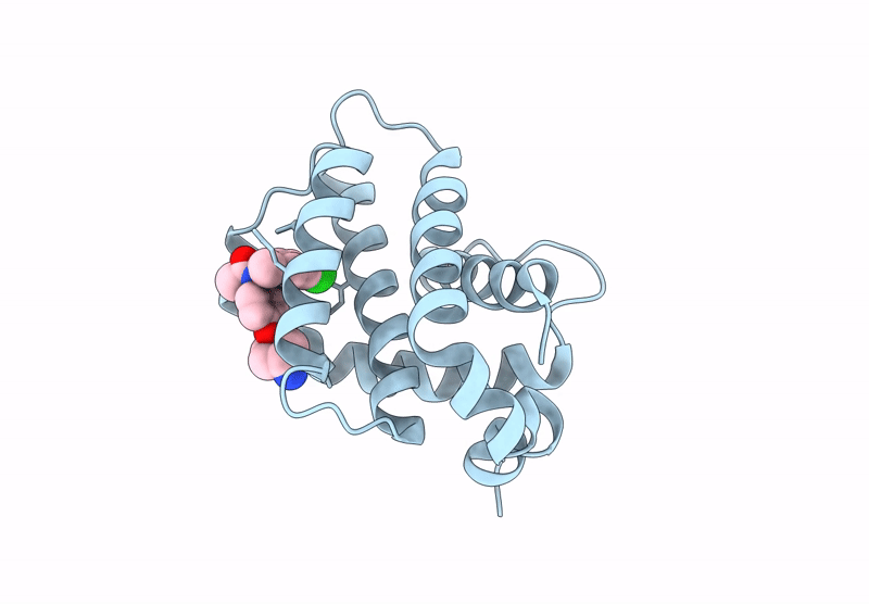 9GIP image