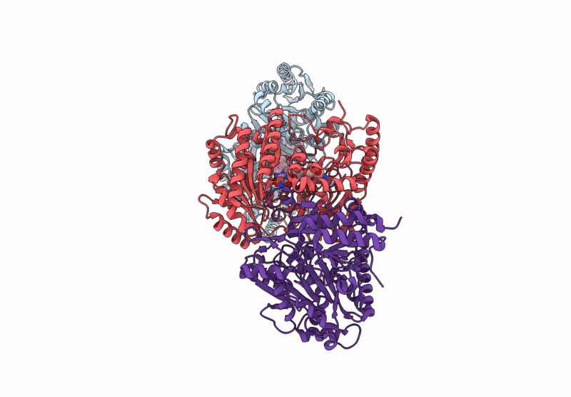 9GJ0 image