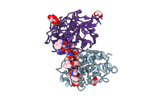 9GJ2 image