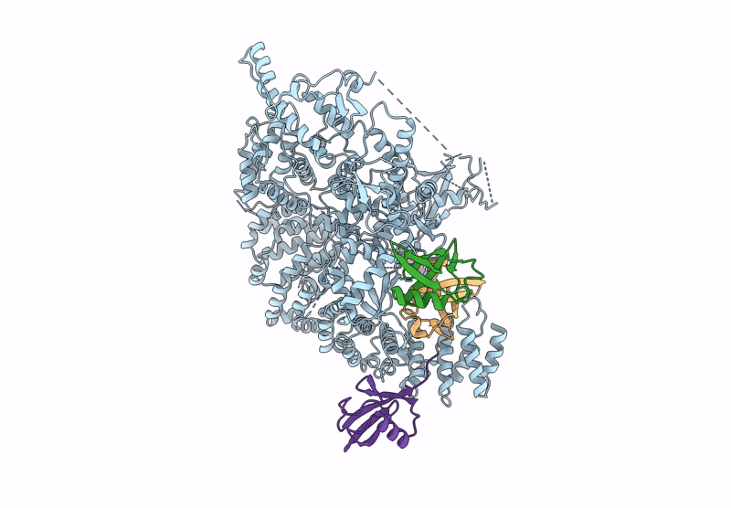 9GKM image