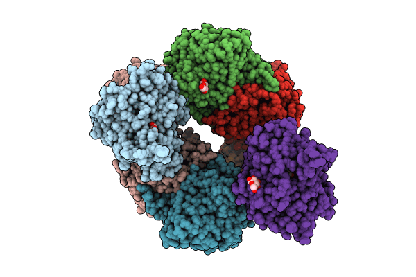 9GKU image