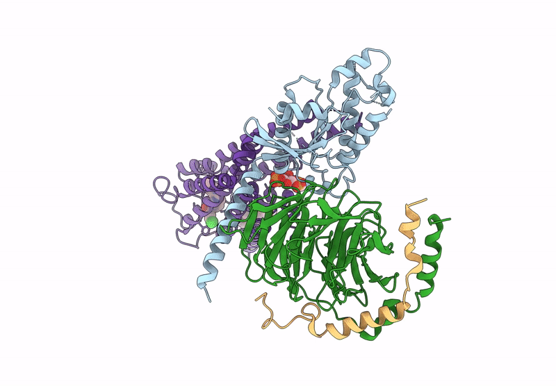 9GL2 image