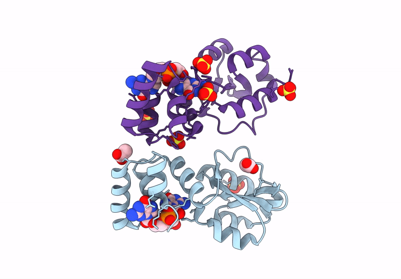 9GLG image
