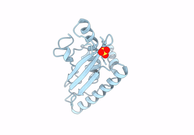 9GLH image
