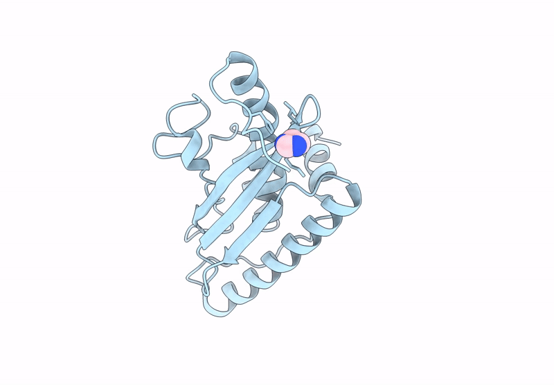 9GLK image