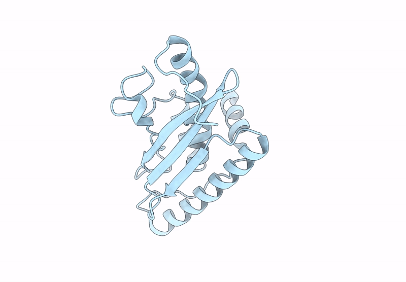 9GLL image