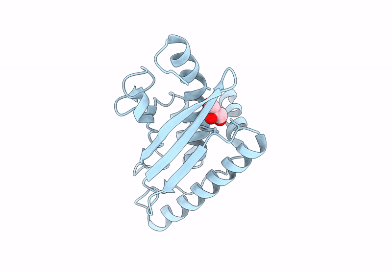 9GLM image