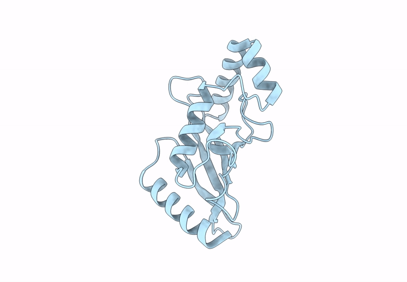 9GLR image