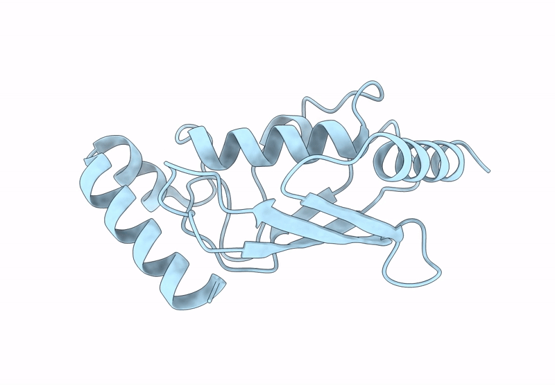 9GLS image