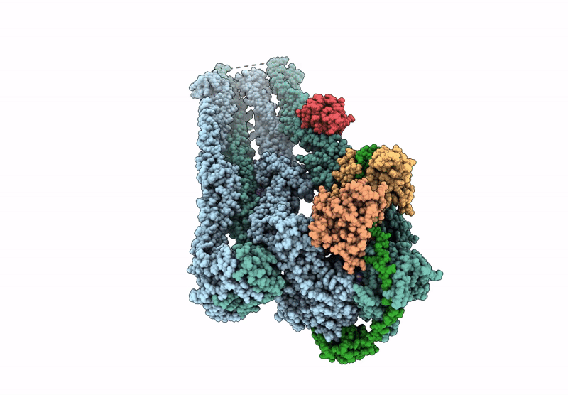 9GM6 image