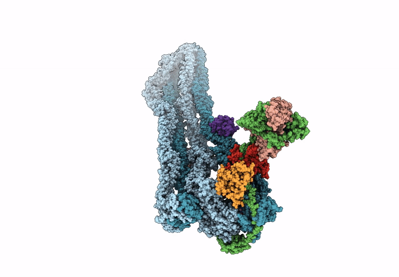 9GM7 image