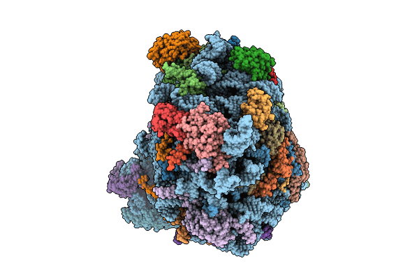 9GMO image